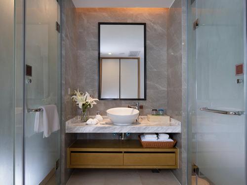 海口维也纳酒店 (海口国际会展中心店)的一间带水槽、镜子和淋浴的浴室
