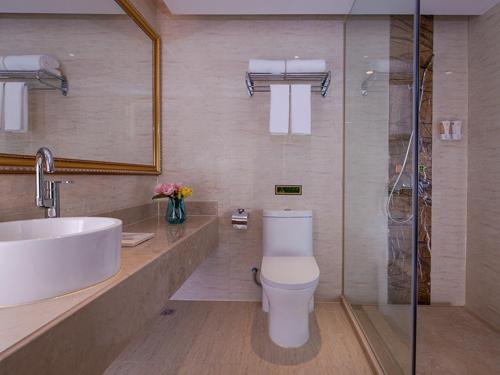 深圳维也纳酒店深圳罗芳店的浴室配有卫生间、盥洗盆和淋浴。