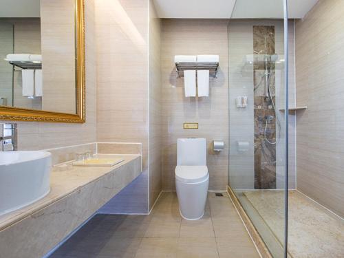 广州维也纳3好酒店广州番禺金江大道店的浴室配有卫生间、盥洗盆和淋浴。