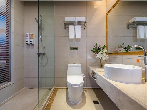 阿拉善左旗维也纳国际酒店内蒙古阿拉善店的浴室配有卫生间、盥洗盆和淋浴。