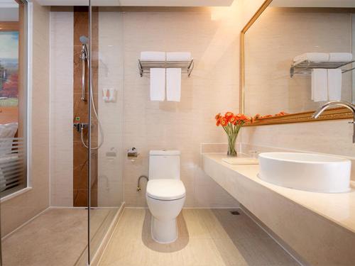 深圳维也纳酒店深圳罗湖口岸店的浴室配有卫生间、盥洗盆和淋浴。