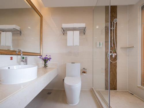 广州维也纳酒店广州天河客运站店的一间带水槽、卫生间和淋浴的浴室