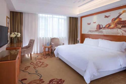 宝安维也纳3好酒店深圳龙华大浪商业中心店的酒店客房设有一张大床和一台电视。