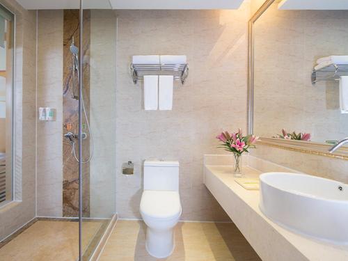 梅州维也纳酒店广东梅州江南店的浴室配有卫生间、盥洗盆和淋浴。