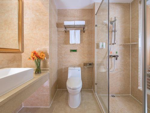 Fenghuangwei维也纳酒店深圳福永村店的浴室配有卫生间、淋浴和盥洗盆。