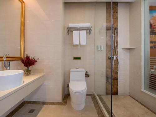 佛山维也纳酒店广东佛山陶瓷城店的浴室配有卫生间、盥洗盆和淋浴。