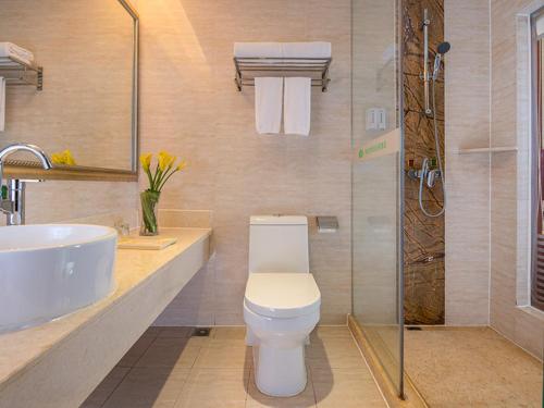 广州维也纳酒店广州机场②店的浴室配有卫生间、盥洗盆和淋浴。