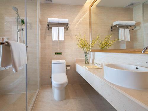 惠州维也纳酒店广东惠州淡水白云路店的一间带卫生间和水槽的浴室