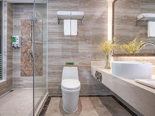 中山维也纳国际酒店广东中山北站店的浴室配有卫生间、盥洗盆和淋浴。