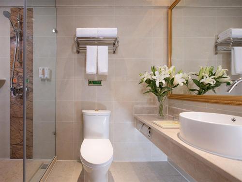 成都维也纳酒店成都大丰地铁站店的一间带卫生间、水槽和镜子的浴室