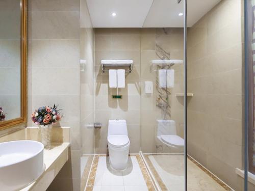 南京维也纳国际酒店江苏南京南站中心店的一间带卫生间和水槽的浴室