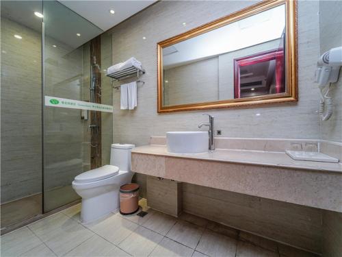 上海维也纳酒店上海浦东金桥公园店的一间带水槽、卫生间和镜子的浴室