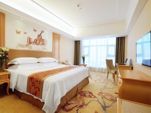 Guzhuting维也纳酒店湖南永州冷水滩区政府广场店的一间酒店客房,配有一张大床和一台平面电视