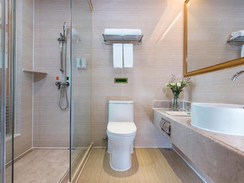 琼海维也纳酒店 (海南琼海嘉积银海路店)的浴室配有卫生间、盥洗盆和淋浴。