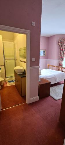 尚克林Beach Cottage的一间卧室配有床、水槽和镜子