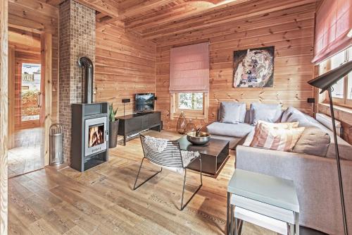 滨湖采尔Chalet Dacha mit finnischer Sauna的带沙发和壁炉的客厅