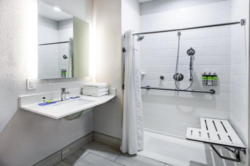 拉瓦卡港拉瓦卡港快捷假日酒店的一间带水槽和淋浴的浴室