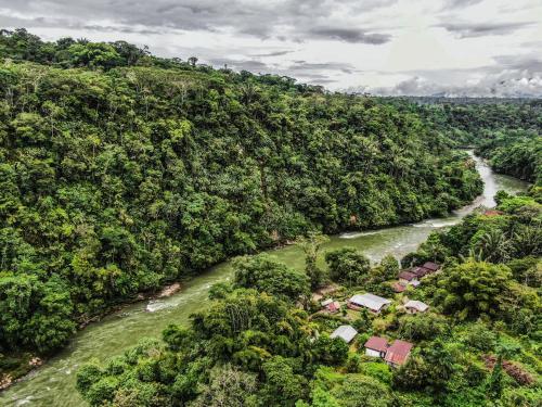 ArchidonaPlaya Selva Lodge的森林中河流的空中景观