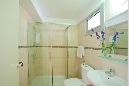 阿依纳帕Paloma Hotel Apartments的带淋浴、卫生间和盥洗盆的浴室