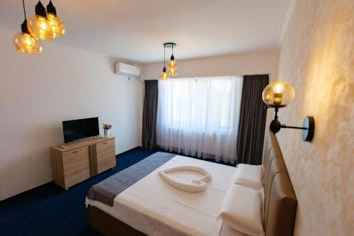 德罗贝塔-塞维林堡Hotel Villa Ovidiu的酒店客房,配有床和电视