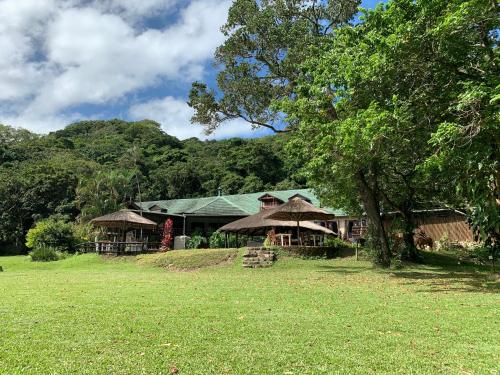 爱德华港Umtamvuna River Lodge的一座有树和草地的房屋