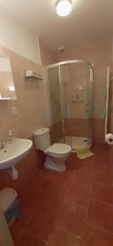 Rovensko pod TroskamiU Rozhovoru的浴室配有卫生间、淋浴和盥洗盆。