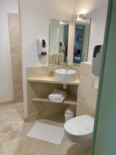 Bruère-AllichampsLogis Hôtel Les TILLEULS的一间带水槽、卫生间和镜子的浴室