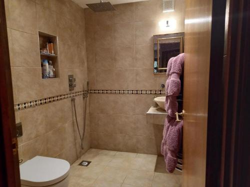 赖德Osborne Lodge的带淋浴、卫生间和盥洗盆的浴室