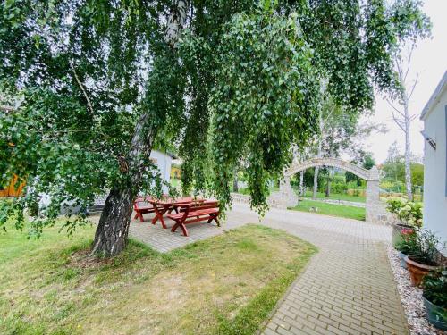 BöhlenHostel的公园里树下的野餐桌