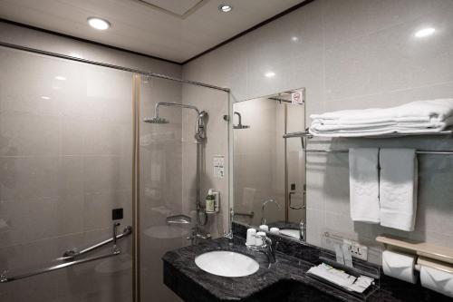 花莲市花莲海悦酒店的一间带水槽和淋浴的浴室