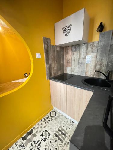 伊泽尔河畔的罗曼JuNgLe ROOM的厨房设有水槽和黄色的墙壁