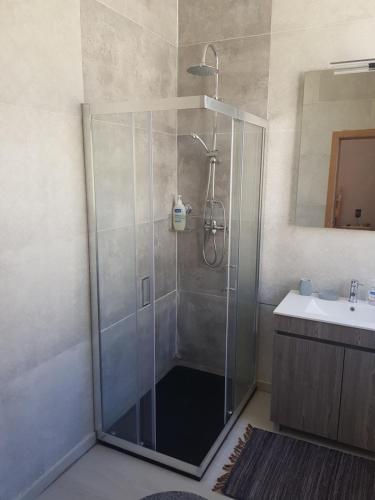 维塞乌Garden Place Alojamento Local的浴室里设有玻璃门淋浴