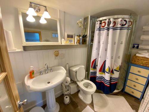 普里茅斯清澈池塘套房公寓的浴室配有水槽、卫生间和浴帘