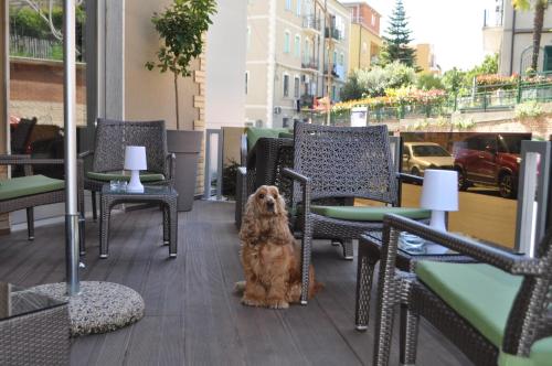 瓦斯托圣马可酒店的狗坐在带桌椅的庭院里