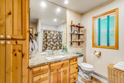 Tyee BeachTyee Legacy的一间带水槽和卫生间的浴室
