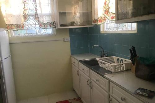 基督教堂市Sasha’s Holiday Home Oistins Barbados的厨房配有水槽和台面