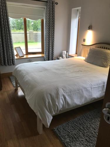 梅努斯Laithreach Briuin B&B W23E0H9的卧室配有一张大白色床和窗户