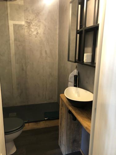 圣让德莫里耶讷Appartement cosy proche de la gare的一间带水槽和卫生间的浴室