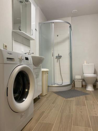 DmitrenkiСоколине Гніздо的一间带洗衣机和淋浴的浴室