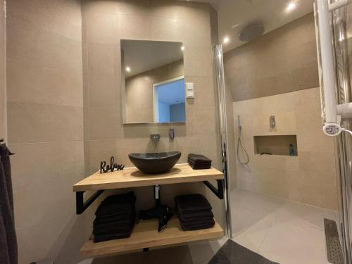 赞德沃特Coconut Beach apartments的一间带水槽和淋浴的浴室