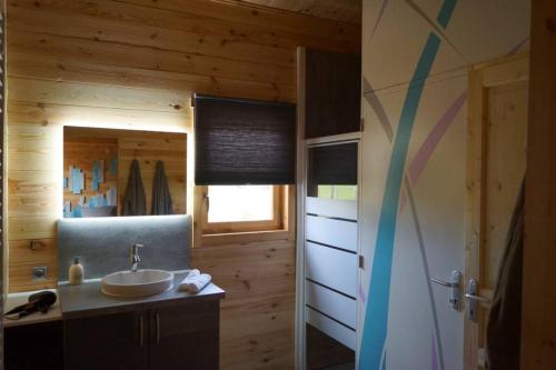 WahlbachChalet au Natur'Heil Nature-Spa-Gourmandise的小木屋内带水槽的浴室