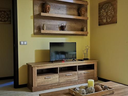 阿雷纳斯德圣佩德罗APARTAMENTO ALES的客厅设有电视,位于木制娱乐中心