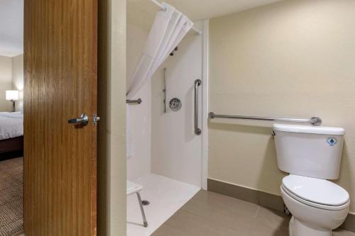 阿尔伯克基阿尔伯克基市中心康福特茵套房酒店的一间带卫生间和淋浴的浴室
