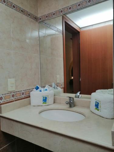 墨西哥城Hotel Atlántico的一间带水槽和镜子的浴室