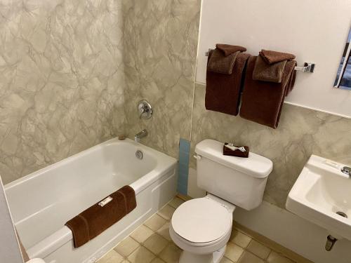 北贝特尔福德Hitching Post Motel的浴室配有卫生间、浴缸和水槽。