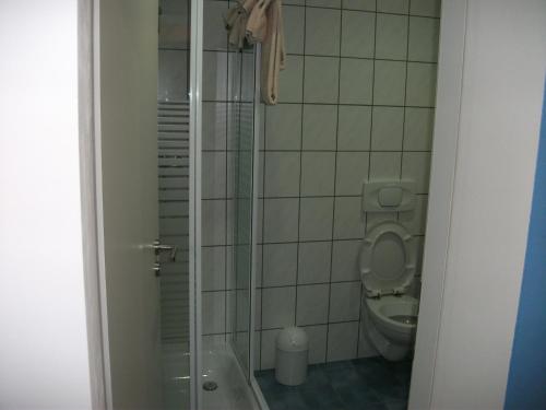 施普林格德志酒店的一间带卫生间和淋浴间的浴室