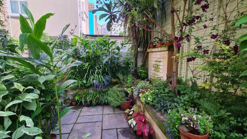 布莱顿霍夫布赖顿红蓝酒店的一座花园,在建筑中种有植物和花卉