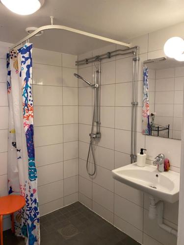 赫尔辛堡Helsingborgs Vandrarhem, Helsingborg Hostel的带淋浴和盥洗盆的浴室