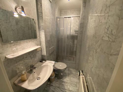 海尔巴德海利根斯塔特Passage 84 - Hotel & Café的一间带水槽、淋浴和卫生间的浴室