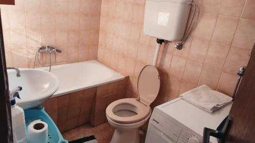 比耶洛波列202的一间带卫生间和水槽的小浴室